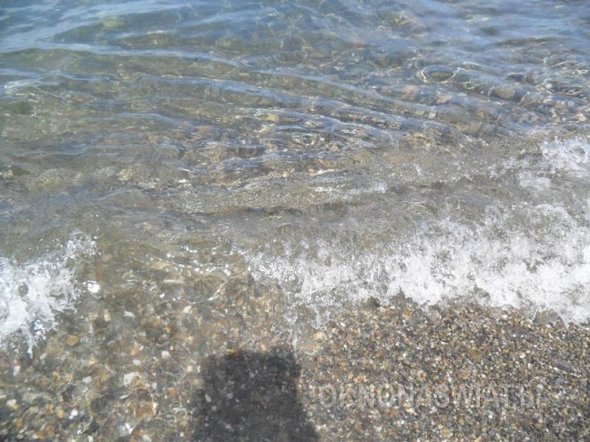 ba0eda22f9fca0bc56450484f041df981462da4f