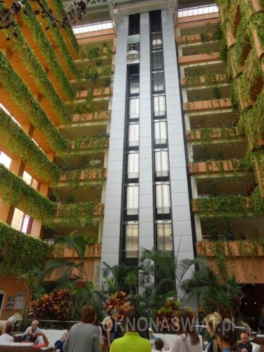 ba87bbf290b33ecda1ddf8ff0f07c03b90c61df0