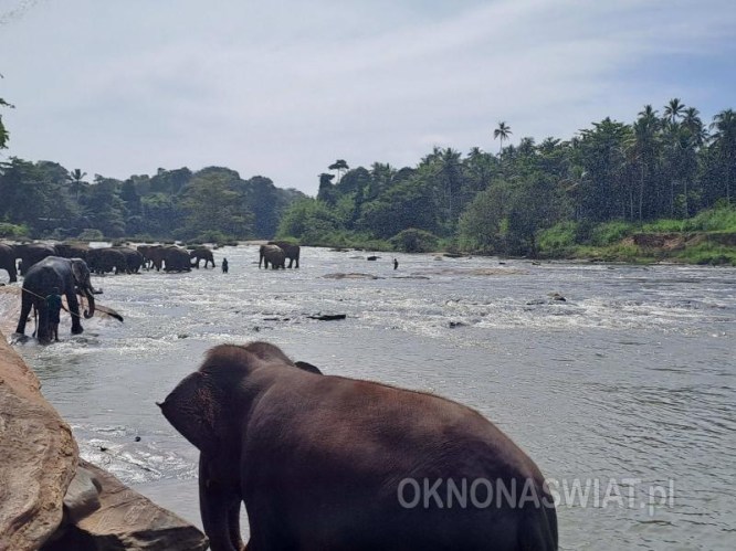 c136d23304d224223a79e4060ab1b1c955addb62