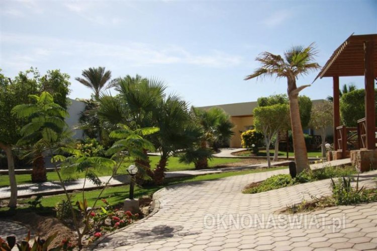 c712e36d974f9058a85f47079659d74afa3f08d6