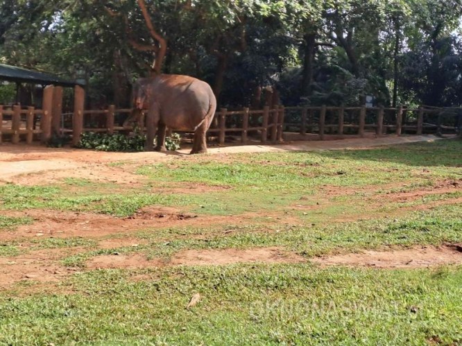 c9c4c750cfe43d64082c926b608068d3f5721b7e