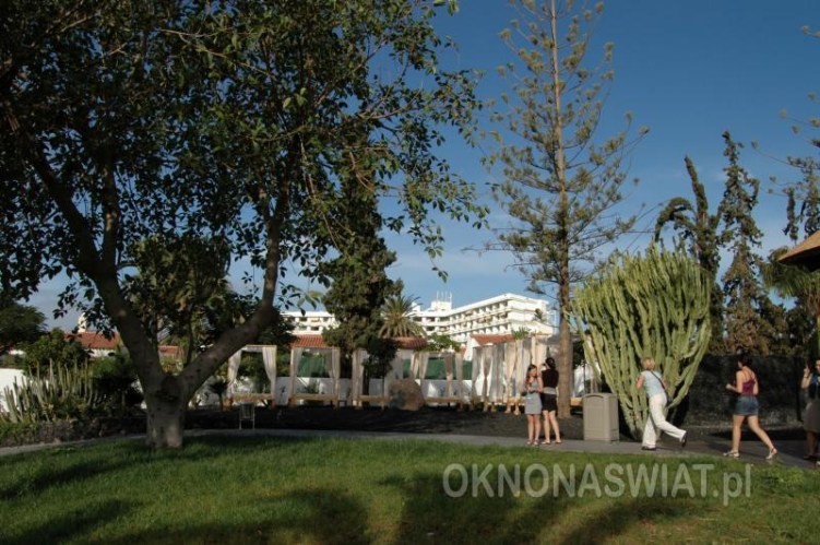 cc29b7dc9f794c2226c4bb0e85f91a40f57708dd