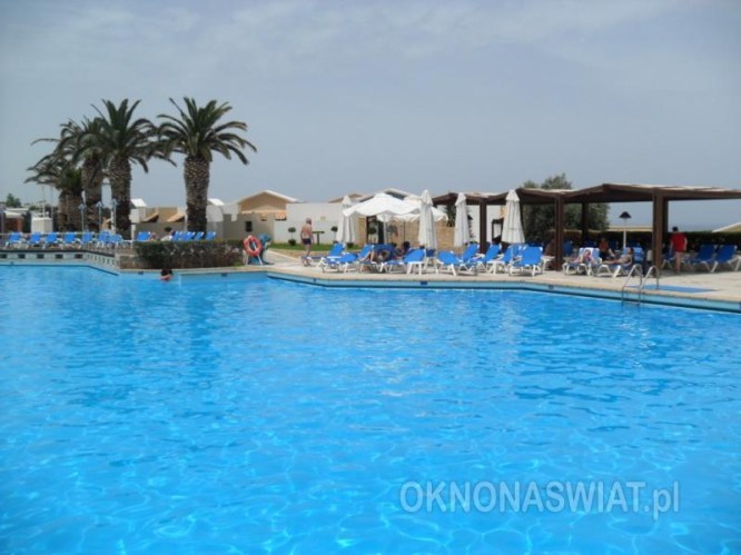 cd19cc2067fb2f769cbd140a8d43a965d46bd704