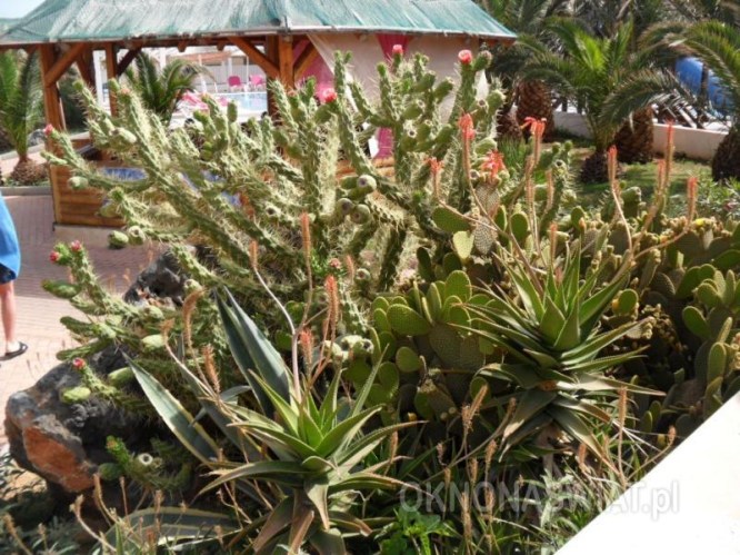 cd4a66763c215b769f8bc99ce0091a0101b2f1b9