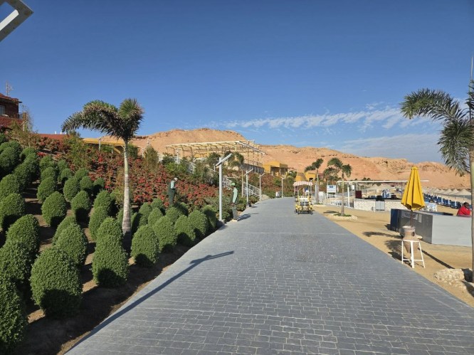 cfad3e1c-e564-45d2-be3f-5a23a51dd112