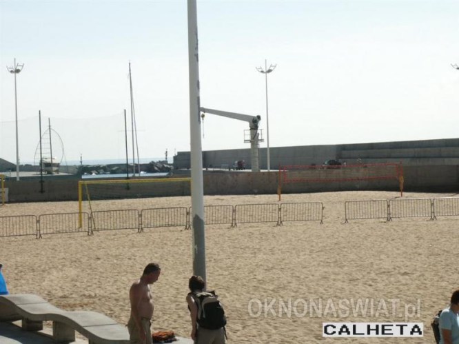 d972b28f8fd3104275ae1c91b1903ce475701b0a