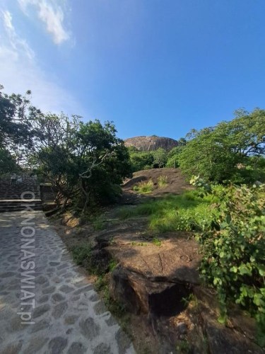 dca968c4a4b7856912fc4785a19fe487a4cbad5b