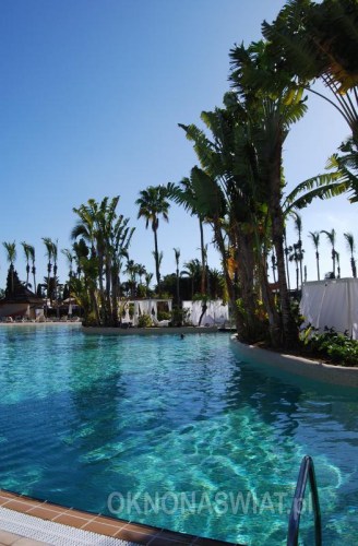 df700d8a5e1b01cefe77df3cfd2ba6460b0675dd