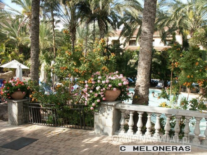 dff9ed0ca6850b5d670e13fda8ea56a4b3ff145a