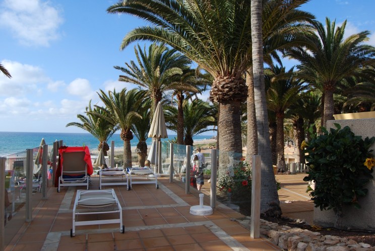 dsc_5374-1