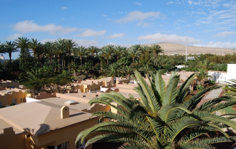 dsc_5419