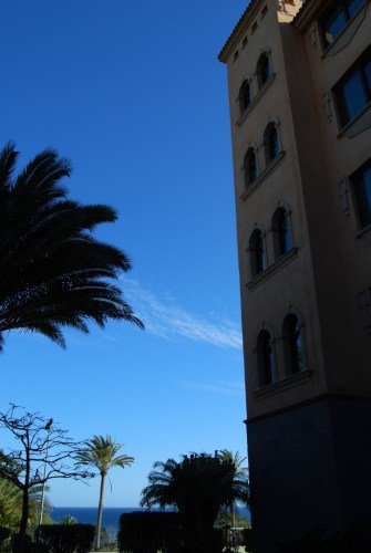 dsc_5920
