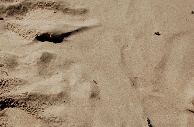 dsc_6281