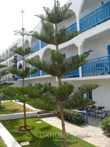 e06ce73be1a691d7f0131da04ecc7e61c061ddc1