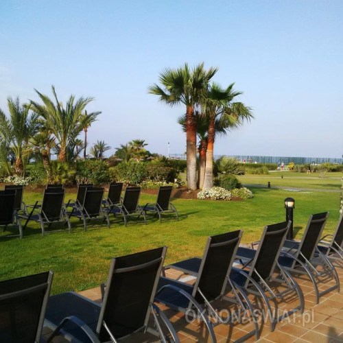 e9ddd4c074df5af78f2ea7933263a414e817d3d8-1