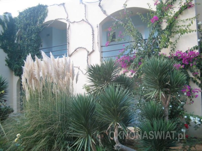 ea431976d49bc3f2c6a5669f3a2199d6810bdeb1