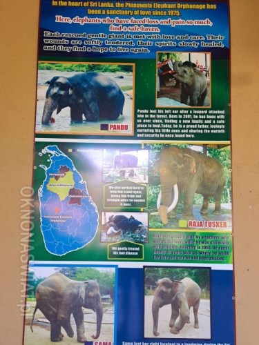 efd92159210e195c4f2871066baf10069a6520f3