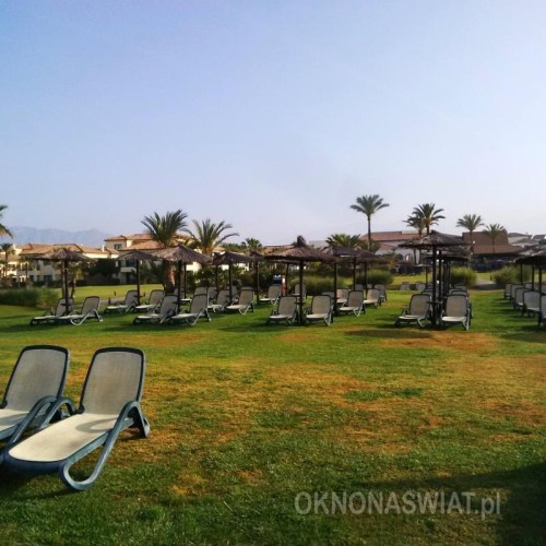 f667545735c9451942b7cdf438819394ee90a780-1