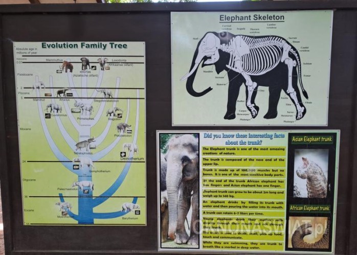 f7c83c80334f204ef5fb8eb78efc07e2413e1f44