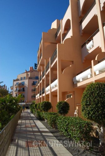 f813f8fae85688d68890385f8572846115255583