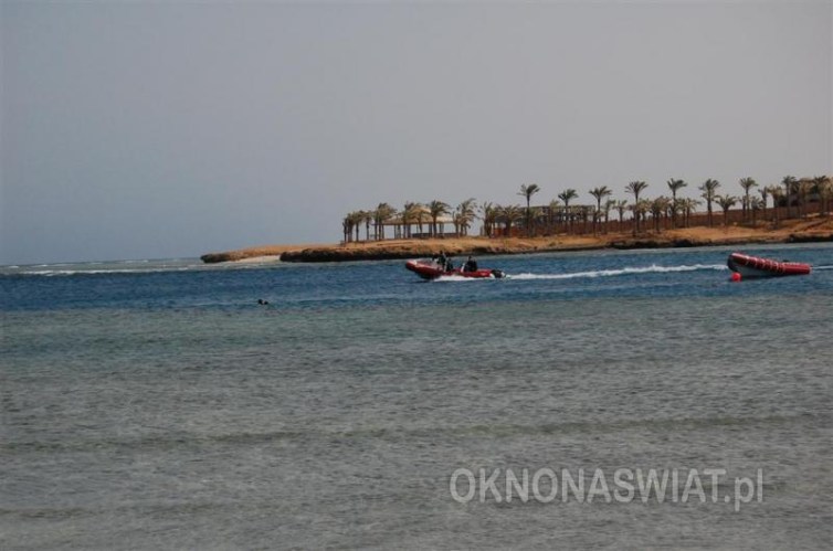 ff0a6592ec9b434a747eb26498a113cf68768804