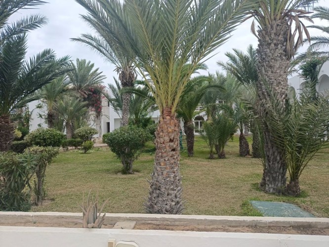 img20241004102853