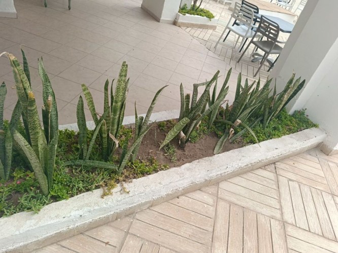 img20241004103554