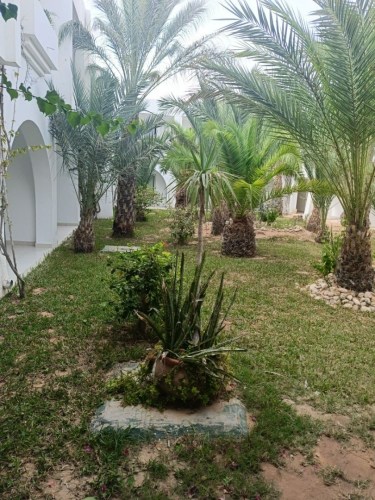 img20241004104214