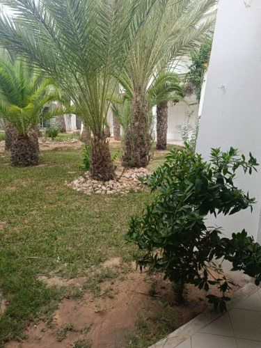 img20241004104215