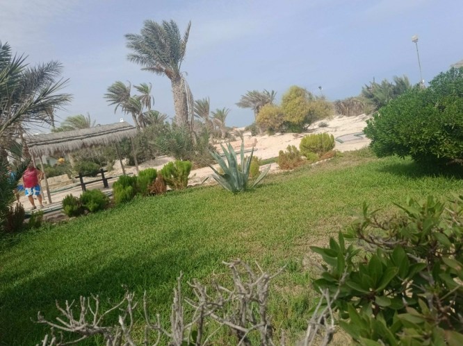 img20241004110012