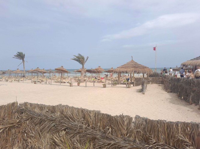 img20241004110047