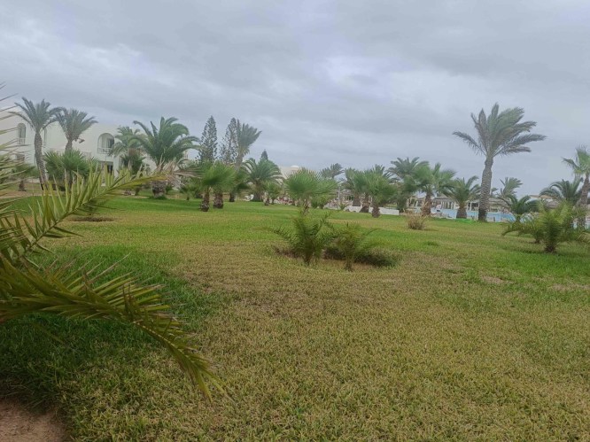 img20241004142650