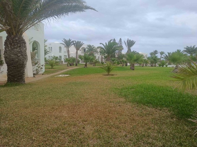 img20241004142652