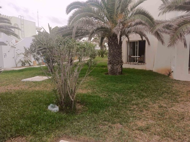 img20241004144006