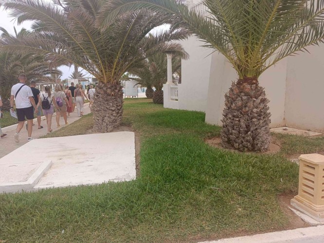 img20241004144021