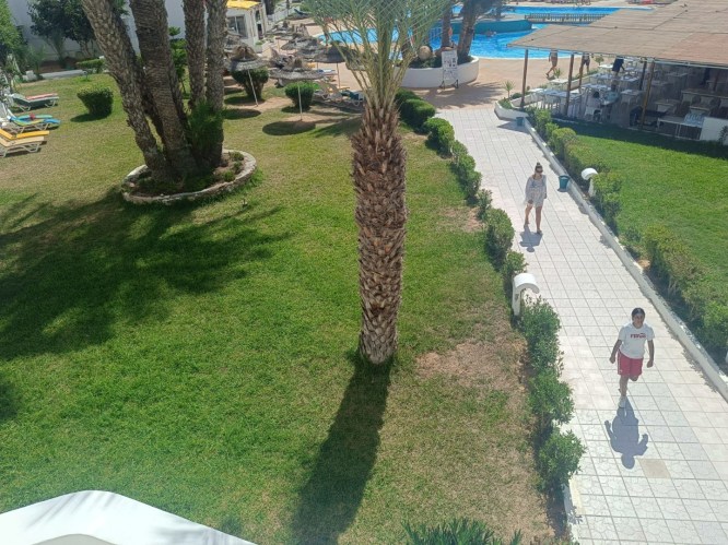 img20241005123548