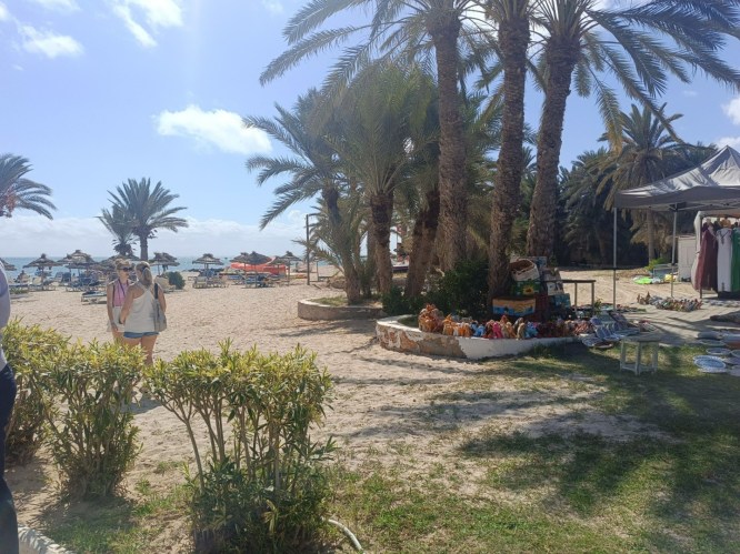 img20241005124226