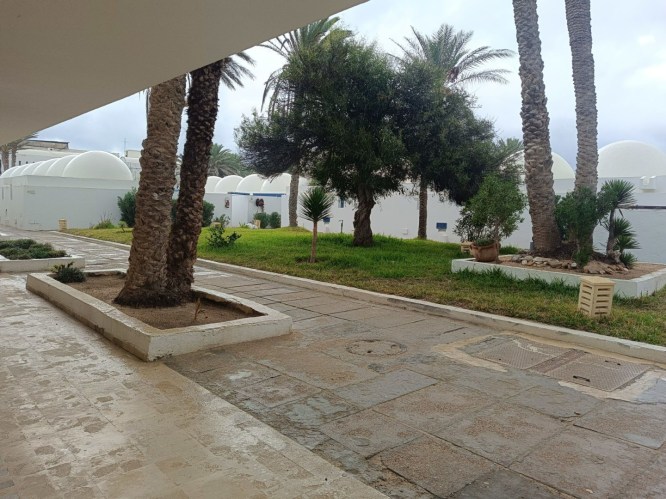 img20241006080056