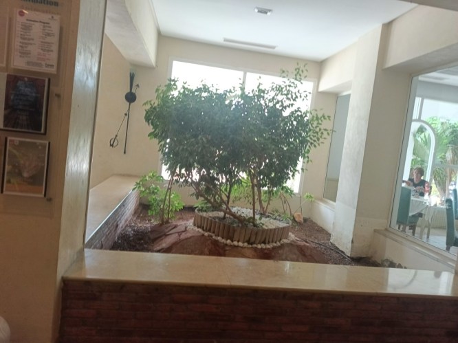img20241006093648