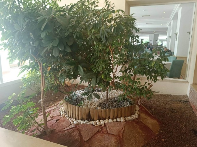 img20241006093656