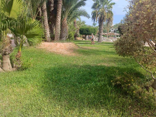 img20241006093813