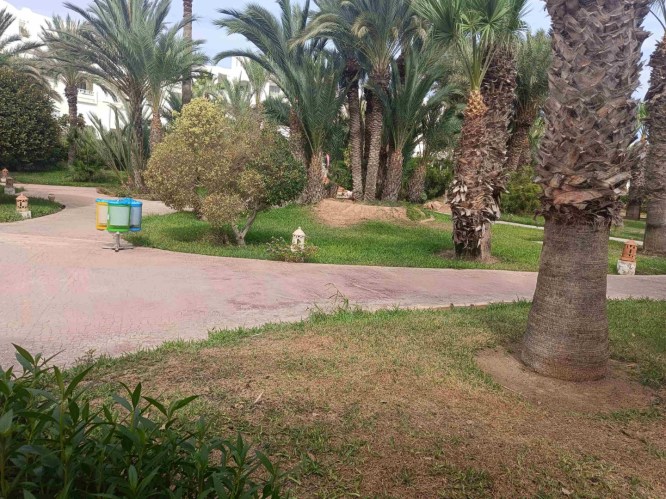 img20241006093951