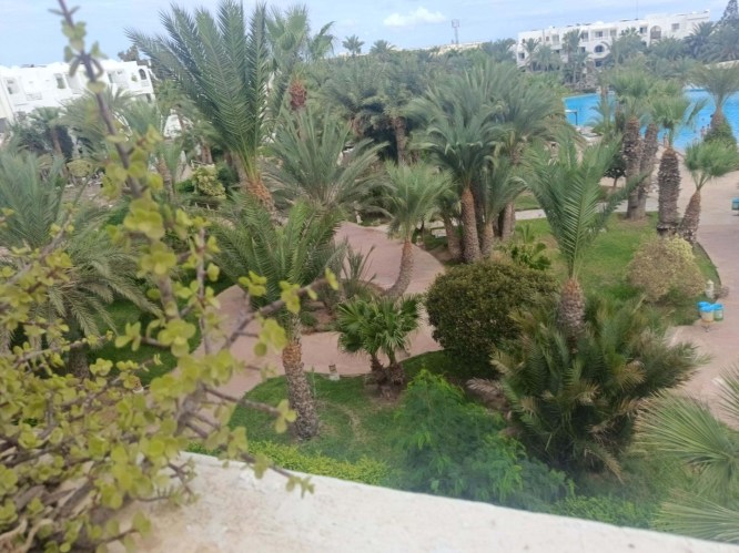 img20241006095520