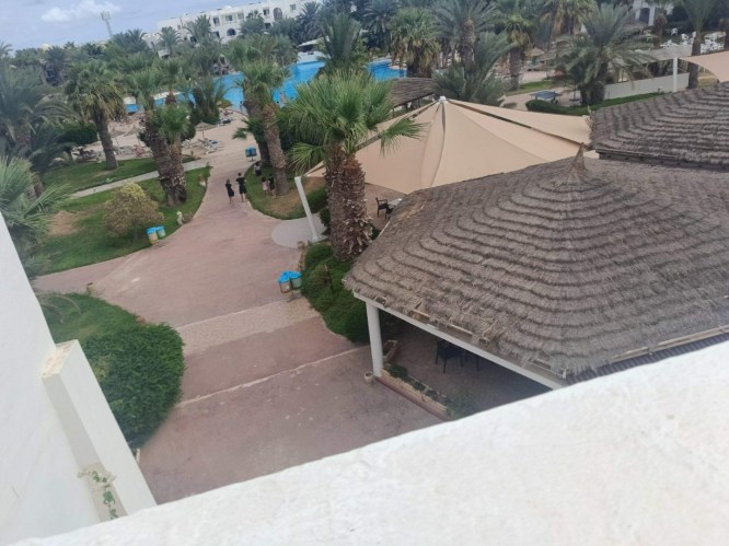 img20241006095553