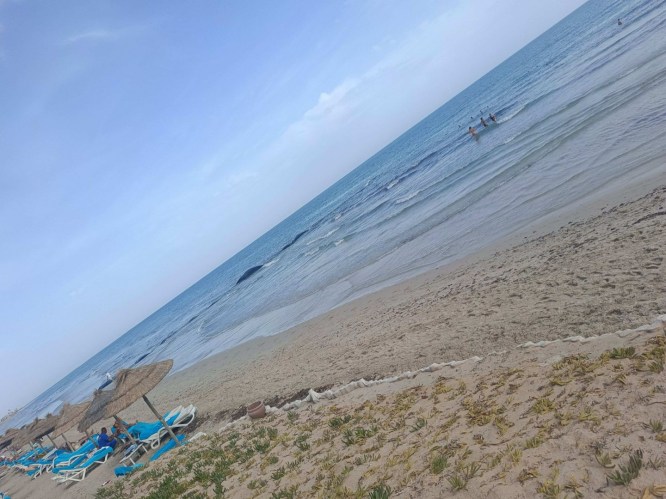 img20241008100705