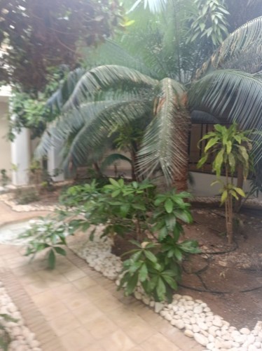 img20241008102235