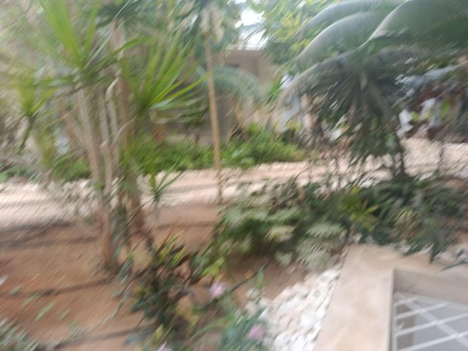img20241008102243