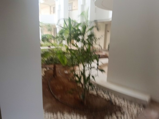 img20241008102313