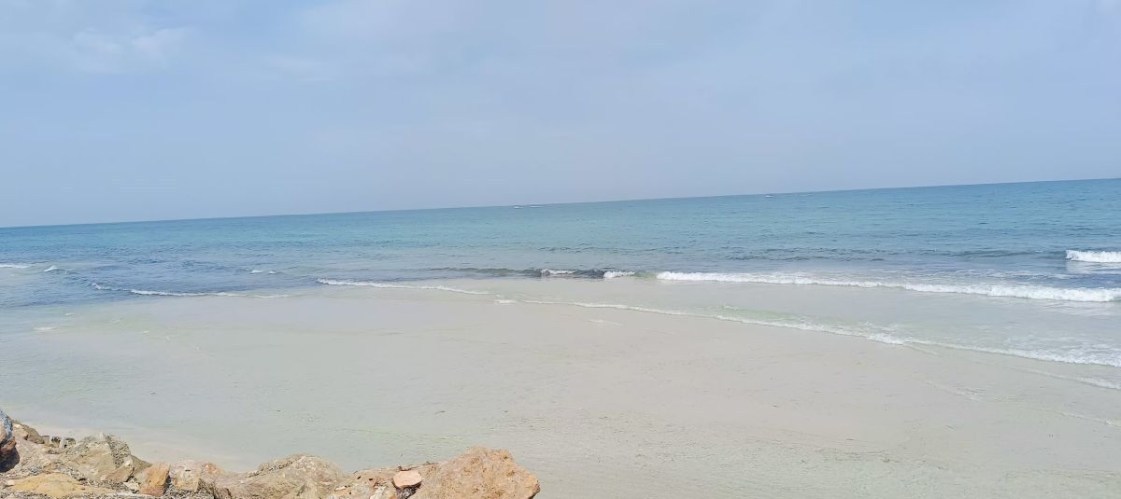 img20241008111259