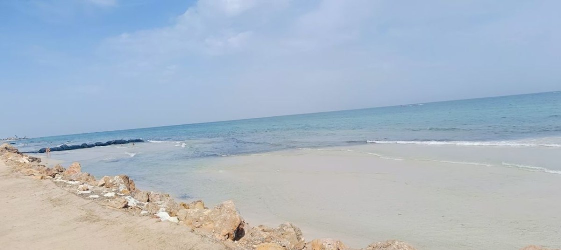 img20241008111301